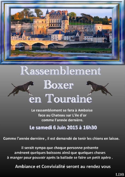 de la demeure ballanaise - Ballade Boxers le 06 Juin 2015